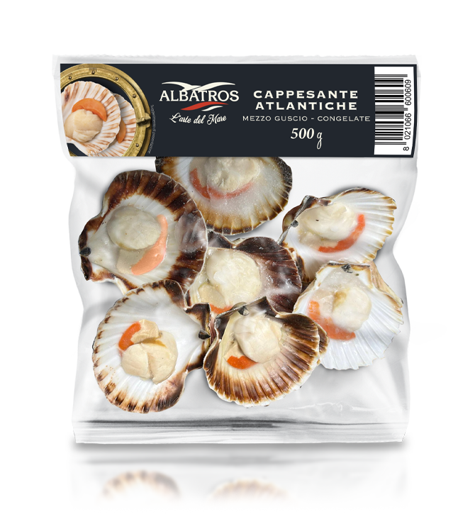 Cappesante Atlantiche 1/2 guscio - 500 gr