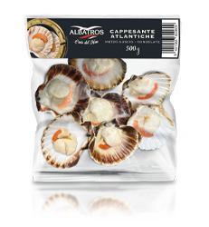 cappesante atlantiche - 1/2 guscio 500 gr