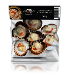 cappesante atlantiche - 1/2 guscio 500 gr